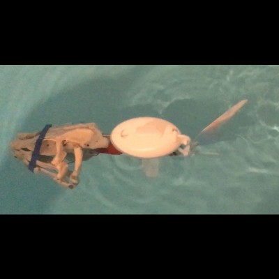 A dodgy robo-shark, built by Mike.