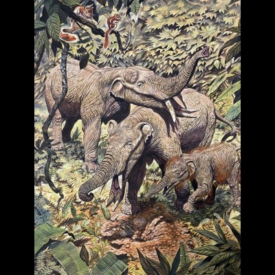 A beautiful painting of a Gomphothere family by Mark Hallett.