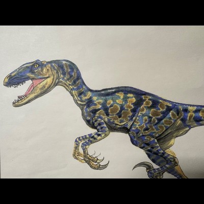 Mark's early concept sketch of a Velociraptor for the first Jurassic Park film.