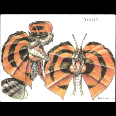 With Speilberg's encouragement Mark Hallett came up with the idea of embellishing a Dilophosaurus with an expandable neck frill inspired by today's Frilled-neck Lizard. This is an early concept drawing by Mark.