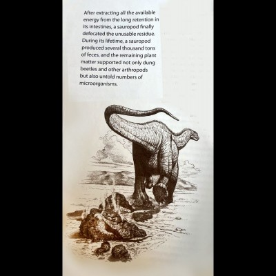 Just imagine how much poop a gigantic sauropod could produce! Yikes...&nbsp;