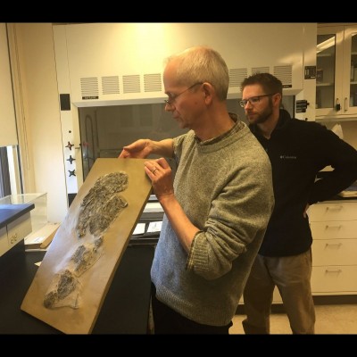 Mike Coates and Leif Tapanila checking out a cast of Gladbachus - a stem-chondrichthyan branching from the base of the tree, in Mike's lab.
