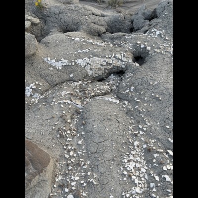 Calcite tiles
