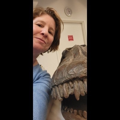 Susan with the skull cast of Apatosaurus louisae the second skull used for the Brontosaurus mount.