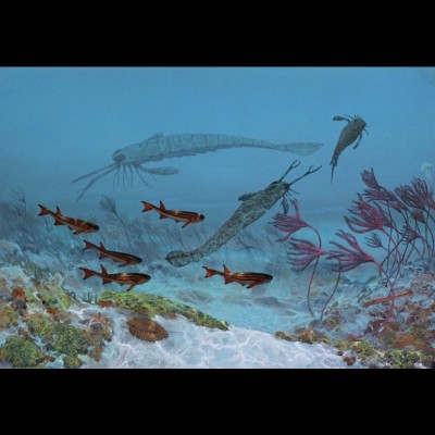 A Silurian marine scene from New York of some 380 million years ago, depicting two species of Eurypterids, various corals, crinoids, and primitive jawed fish.