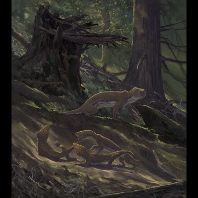 An adult Thrinaxodon with three young in South Africa during the early Triassic, some 240 million years ago. Thrinaxodon was a cynodont, a group of advanced stem mammals that survived the Permian extinction and continued to develop.