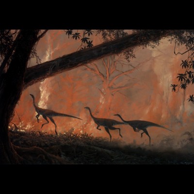 Three Struthiomimus, dinosaurs looking remarkably like large birds, running along the front of a forest fire. Fires caused by drought and lightning occurred as natural events 80 million years ago in the late Cretaceous just as today.