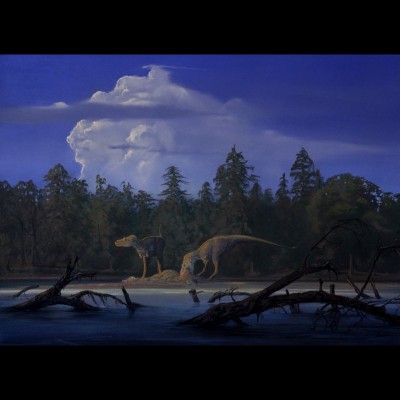 Two Albertosaurus, large late Cretaceous carnosaurs, feast on a duckbill dinosaur on a sandbar in the middle of an upland river in Montana some 80 million years ago.