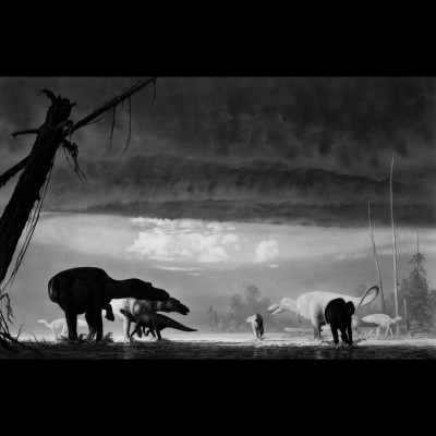 This open edition inkjet giclee reproduction is of a pencil drawing Doug did in 1985 for the Museum of the Rockies in Bozeman, Montana. The work is titled 'Snow White Loose in the Nursery' and depicts a group of dinosaurs in a dynamic prehistoric scene.