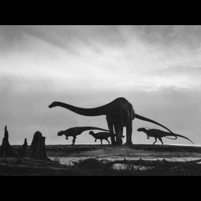 A Diplodocus fends off a trio of Allosaurus with its exceedingly long whip-like tail