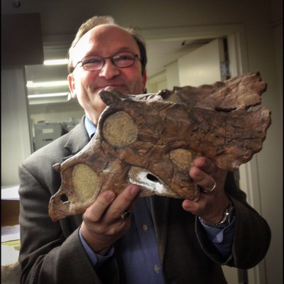 Hans holding a cast of a juvenile Triceratops skull