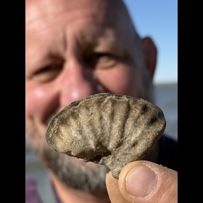 Justin Boardman found a nice chunk of ammonite that day!