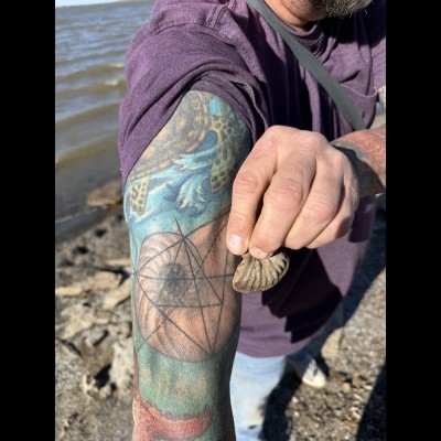 A moment of Ammonite delight comparing Jason's ammonite chunk with his nautilus tattoo