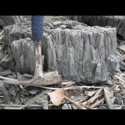 More Kanopolis Lake Cone in Cone Structure