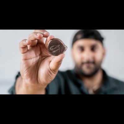 Arjan showing an early snake-like creature named Infernovenator. A recent redescription of the specimen led to its identification as a new lysorophian taxon. Infernovenator is represented only by the holotype, a nearly complete skeleton. The genus name is given for the Latin infernum ("hell") to refer to the fossorial habitats of the taxon and venator ("hunter"). The species name honors paleontologist Margaret Clair Steen Brough