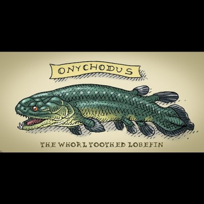 Ray's drawing of Onychodus the whorl toothed lobe finned fish.