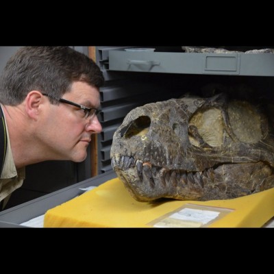 Kirk Johnson stares eye to eye with the first Nannotyrannus ever found, now at the Cleveland Museum of Natural History. (specimen CMNH 7541)