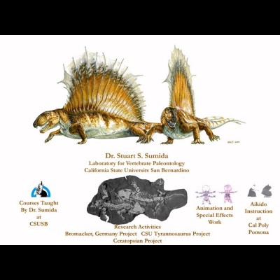 Check out the funky sailfins on this pair of Dimetrodons.&nbsp;