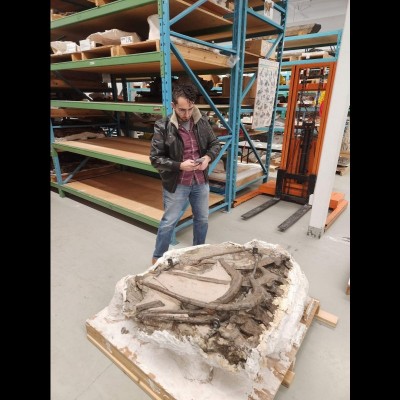 Napoli using photogrammetry