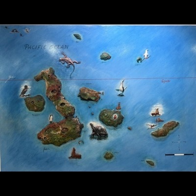 Relief map of the Galapagos Archepelago.