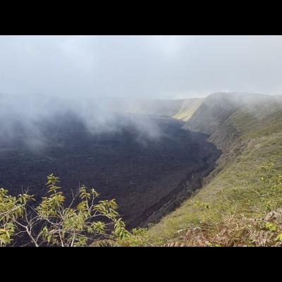 Sierra Negra Volcano on Isabella Island is one of the world's largest active volcanoes at roughly 6 miles (10 km) in diameter.