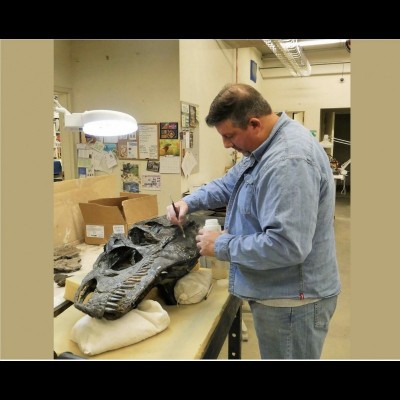 Scott prepping a tyrannosaur skull.