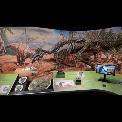 As Senior Director of Exhibitions at the Museum of the Rockies Scott oversaw the creation and construcion of the Cretaceous Crossroads permanent exhibit.