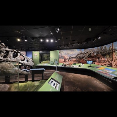 Some of the fabulous Montana dinosaur fossils now on display in the Cretaceous Crossroads hall t the Museum of The Rockies in Bozeman, Montana.