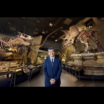 Tyrannosaurus (left) and Triceratops (right) at the National Museim of Nature and Science in Tokyo.