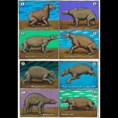 There has been much debate and speculation about the terrestrial posture of the Desmostylians! The Japanese and US researchers have very different ideas on how they moved about on land.
