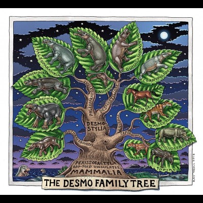 Ray's evolutionary tree of the enigmatic Desmostylians.