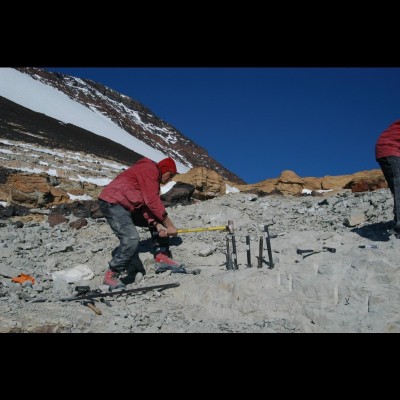 Collecting Cryolophosaurus ellioti on Mount Kirkpatrick, as part of Bill Hammer’s expedition, 2003. Photo by Andrew Sajor.