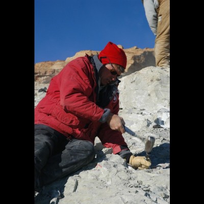 Collecting Cryolophosaurus ellioti on Mount Kirkpatrick, as part of Bill Hammer’s expedition, 2003. Photo by Andrew Sajor.