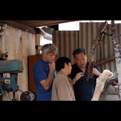 Looking at Sinosaurus specimen in Lufeng, China, with Dong Zhiming and Wang Tao. Photo by Eva Koppelhus, 2005.