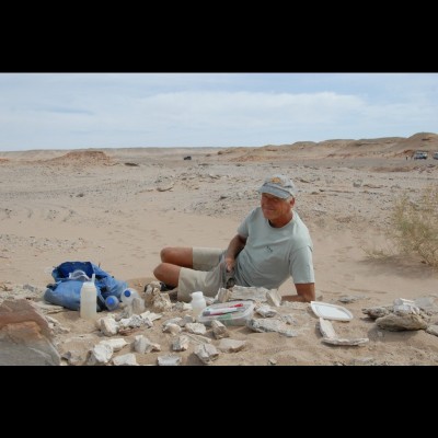 Assembling a Saurolophus skull, Bugiin Tsav, Mongolia. Photo by Eva Koppelhus, 2009.
