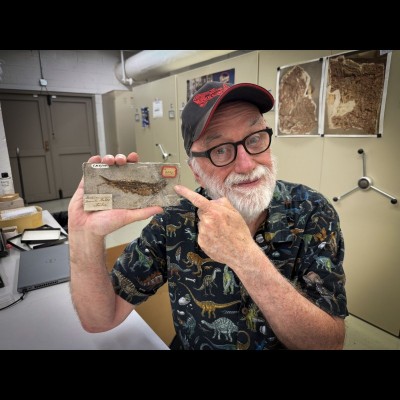 While Ray was at the Carnegie he came across fossils of Trollichthys, the long extinct round-bellied herring from Italy named in his honor.